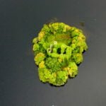 Wakacje na barce Irlandia