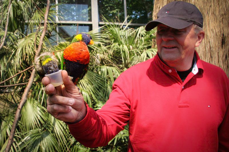 Alpen aan den Rijn - Avifauna wakacje na barce